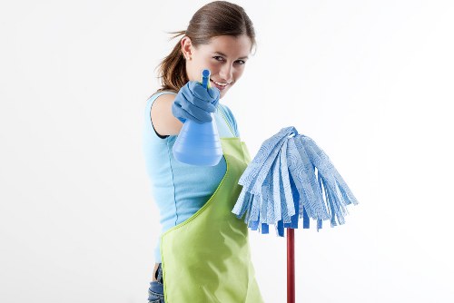 Professional gutter cleaning for Highbury homes and period properties