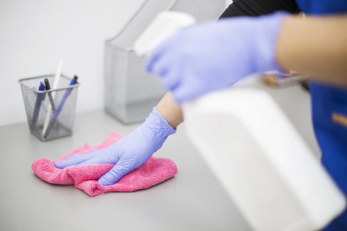 Cleaning oven shelves and interior surfaces during a Highbury appointment