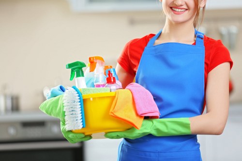 Window cleaning service for Highbury homes and period properties