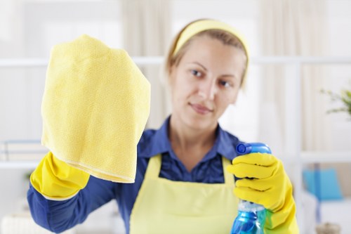 Entrance hallway cleaning in a Highbury residential block