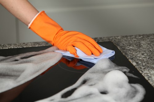Professional carpet cleaning service for homes in Highbury