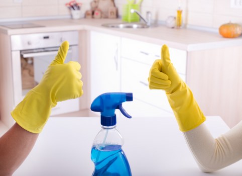 Domestic cleaner preparing a Highbury living room for a regular home clean
