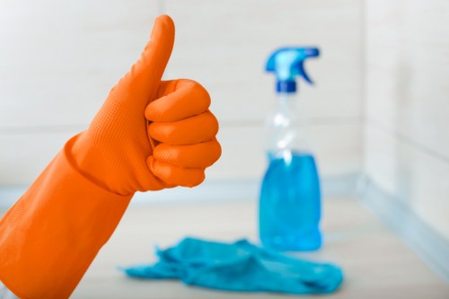 Deep cleaning a pet stain from upholstery in Highbury