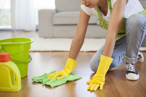 Accessibility review of a local carpet cleaning website