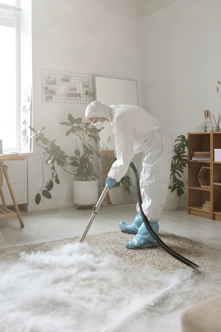 A professional cleaning technician from Highbury Carpet Cleaners is performing deep carpet cleaning in a bright, modern living room. The technician is wearing a white protective suit, gloves, and blue shoe covers while using a vacuum or extraction machine on a light-colored, textured carpet. The room features a white wall, a large window allowing natural light, a wooden side table, a bookshelf with decorative items, and potted indoor plants, creating a clean and inviting atmosphere. The surface appears wet and freshly cleaned, demonstrating thorough sanitisation and surface cleaning for improved hygiene. The scene highlights the company's expertise in residential cleaning services focused on carpet and surface maintenance, emphasizing the importance of professional deep cleaning for a hygienic home environment.