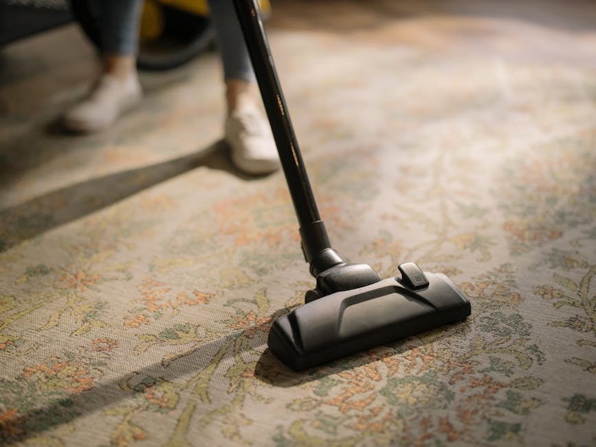 A professional cleaning technician from Highbury Carpet Cleaners is performing deep carpet cleaning in a bright, modern living room. The technician is wearing a white protective suit, gloves, and blue shoe covers while using a vacuum or extraction machine on a light-colored, textured carpet. The room features a white wall, a large window allowing natural light, a wooden side table, a bookshelf with decorative items, and potted indoor plants, creating a clean and inviting atmosphere. The surface appears wet and freshly cleaned, demonstrating thorough sanitisation and surface cleaning for improved hygiene. The scene highlights the company's expertise in residential cleaning services focused on carpet and surface maintenance, emphasizing the importance of professional deep cleaning for a hygienic home environment.