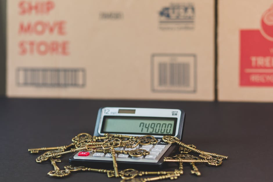 Close-up of a person's hand holding a small black house model over a wooden tray with scattered coins, a brown leather wallet with some paper currency, and a small potted green plant in the background. The scene is well-lit, showcasing a domestic setting related to financial or property matters, consistent with the context of end of tenancy cleaning services. Highbury Carpet Cleaners is mentioned naturally as part of the scene's context for surface cleaning and hygiene maintenance in residential environments.